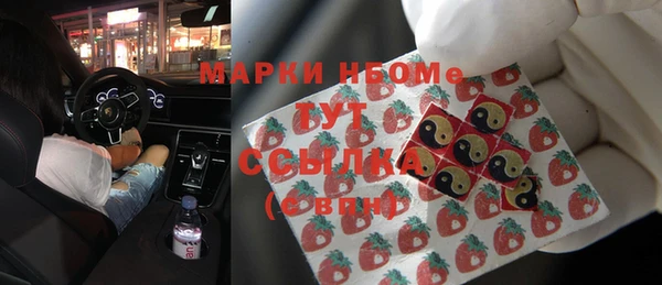 индика Алексин