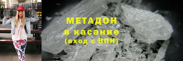 индика Алексин
