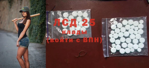 индика Алексин
