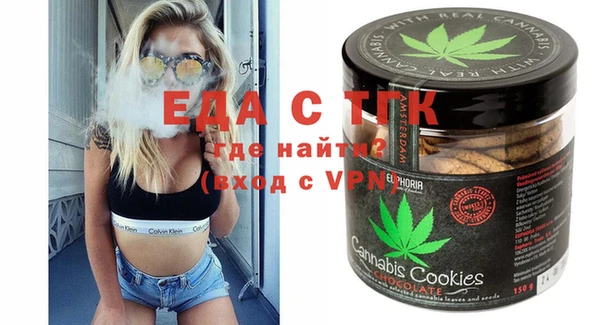 индика Алексин
