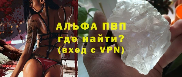 индика Алексин