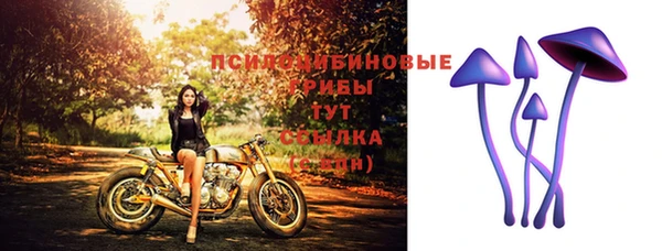 индика Алексин