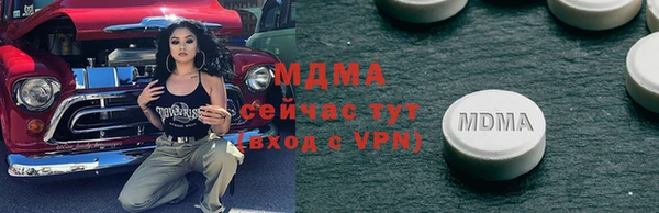 индика Алексин