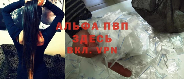индика Алексин