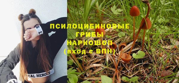 индика Алексин