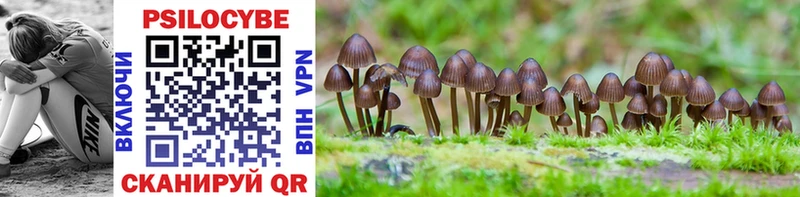 купить   Урюпинск  Галлюциногенные грибы Cubensis 